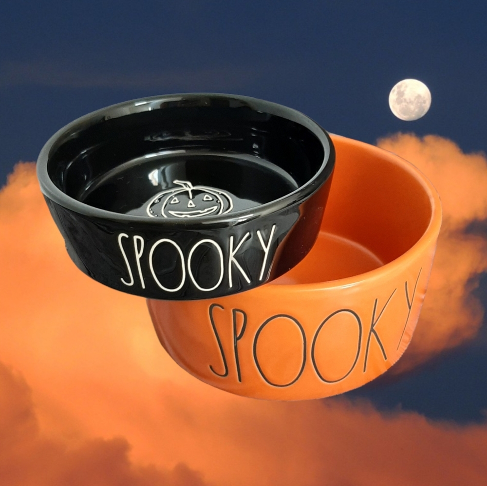 Rae Dunn Ceramic SPOOKY Bowls orange and black